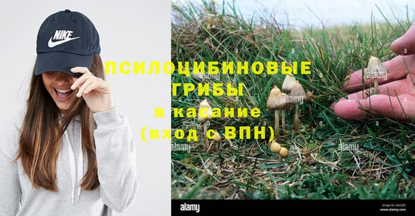 МДПВ Волоколамск