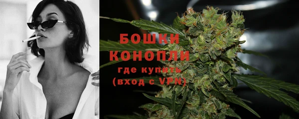 МДПВ Волоколамск