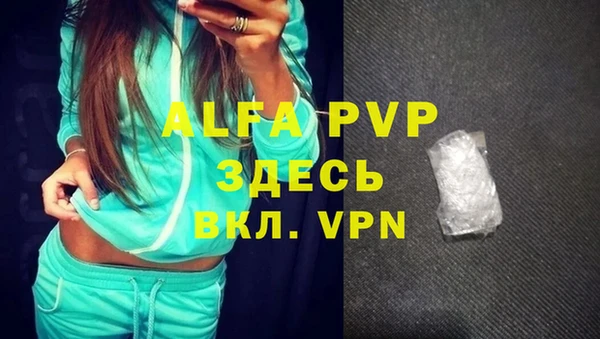 стафф Володарск