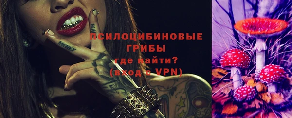 МДПВ Волоколамск