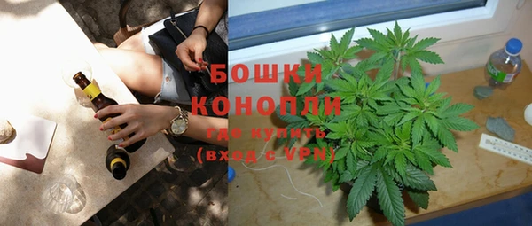 стафф Володарск