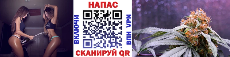 Конопля планчик  цена   Вытегра 